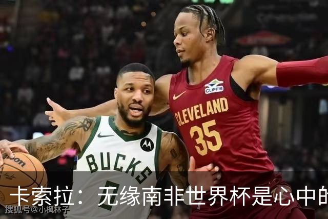 卡索拉：无缘南非世界杯是心中的刺
